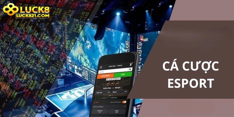 Theo dõi biến động kèo trong cá cược eSports